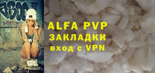 сатива Белокуриха