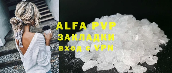 сатива Белокуриха