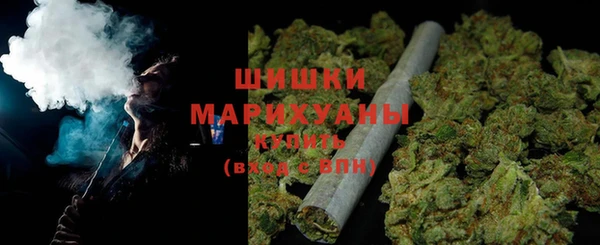 сатива Белокуриха