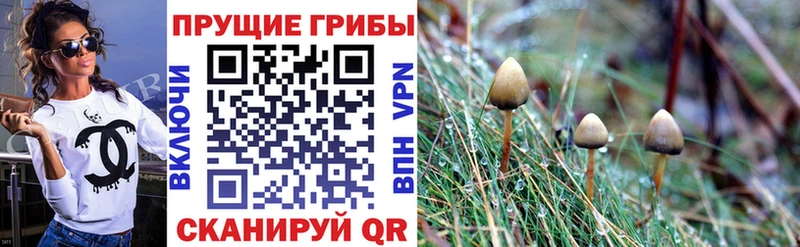 Галлюциногенные грибы мухоморы купить наркотик Очёр